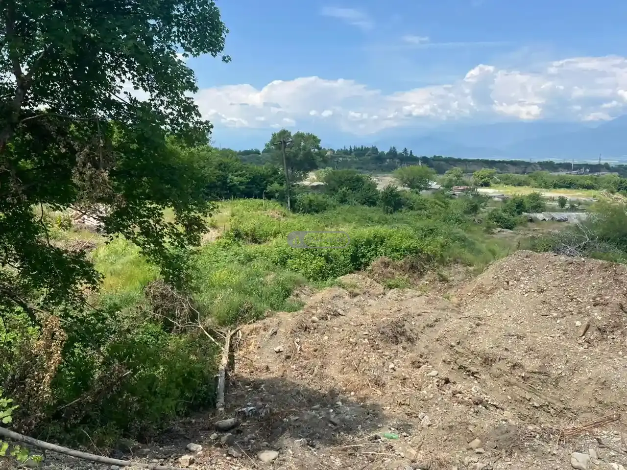 Land for Sale in Vardisubani – Telavi Municipality