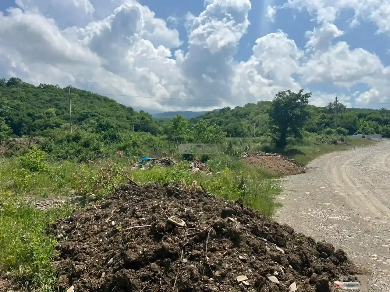 Land for Sale in Vardisubani – Telavi Municipality