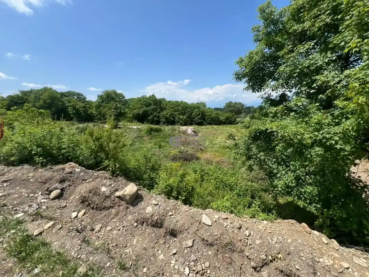 Land for Sale in Vardisubani – Telavi Municipality