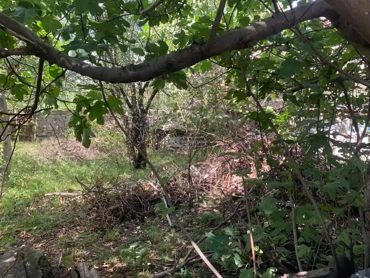 Продается жилой участок – Телави