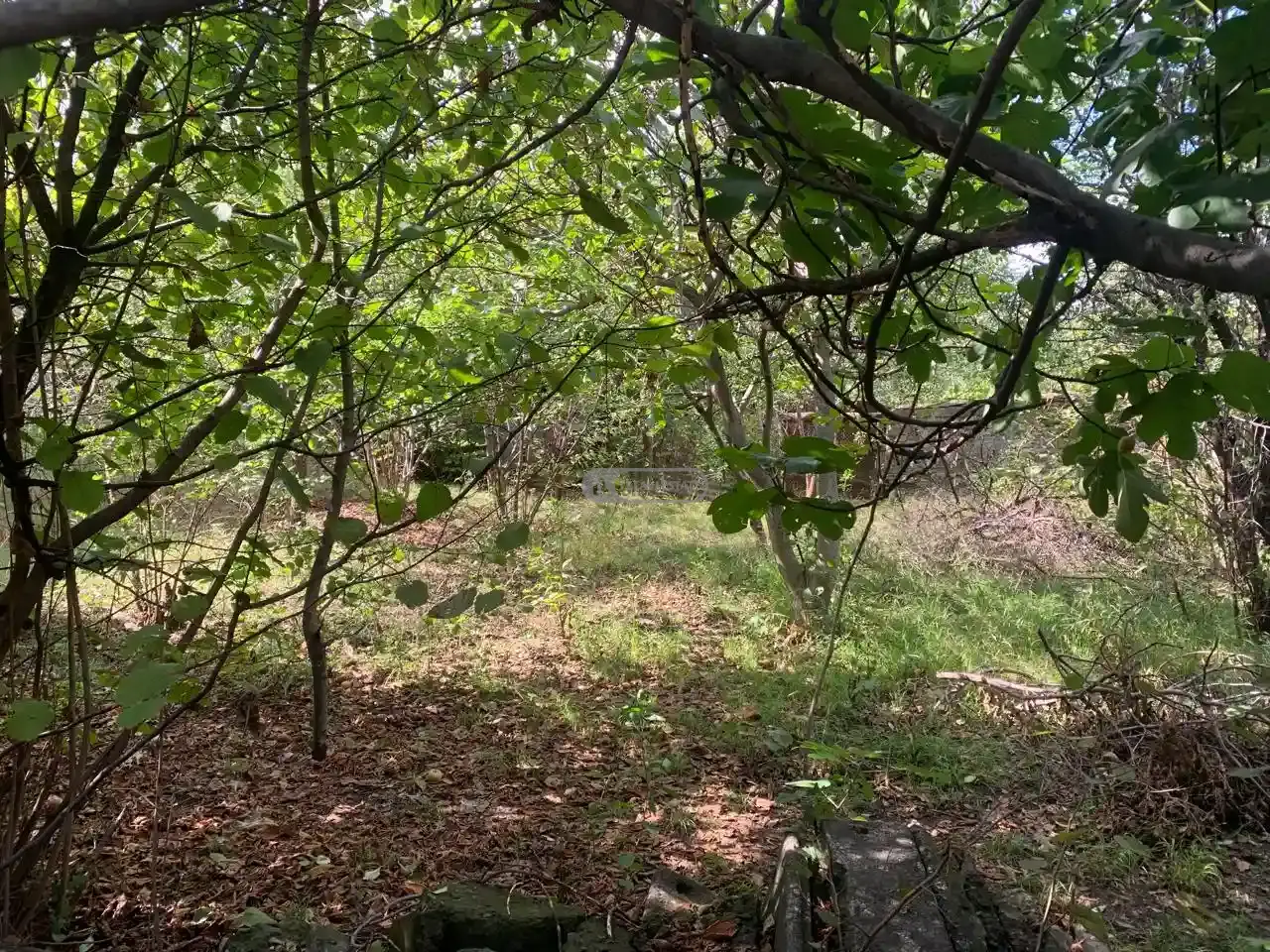 Продается жилой участок – Телави