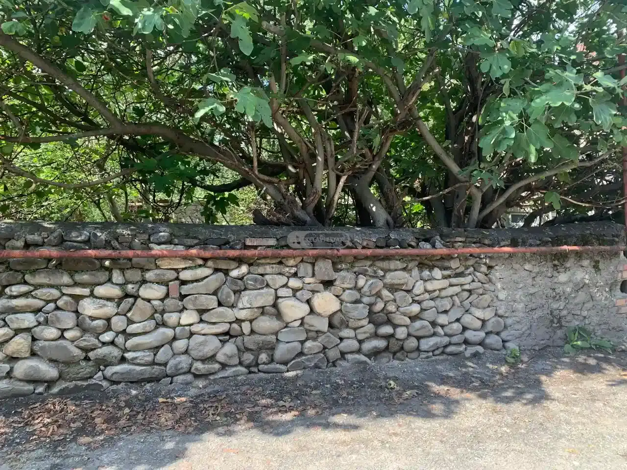 Продается жилой участок – Телави