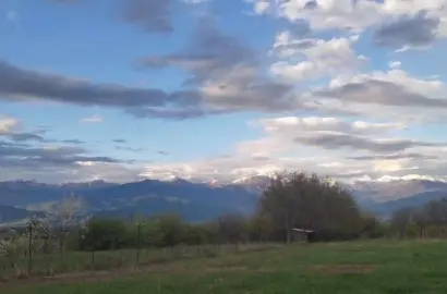 მიწის ნაკვეთი წინანდალში