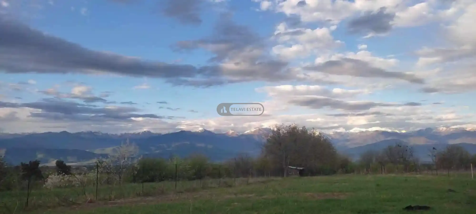 Земельный участок на продажу в Цинандали