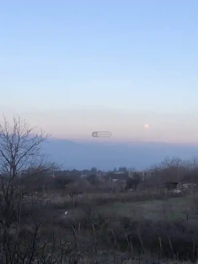 Земельный участок на продажу в Цинандали