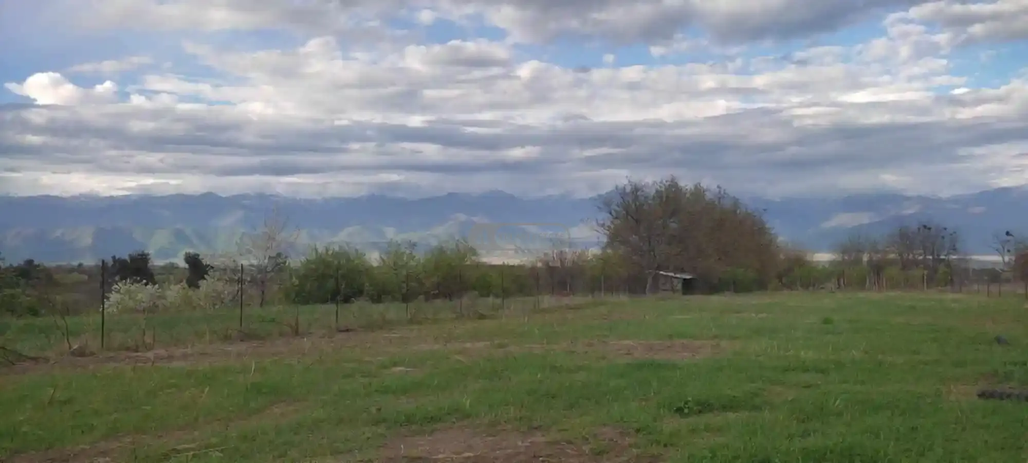 Земельный участок на продажу в Цинандали