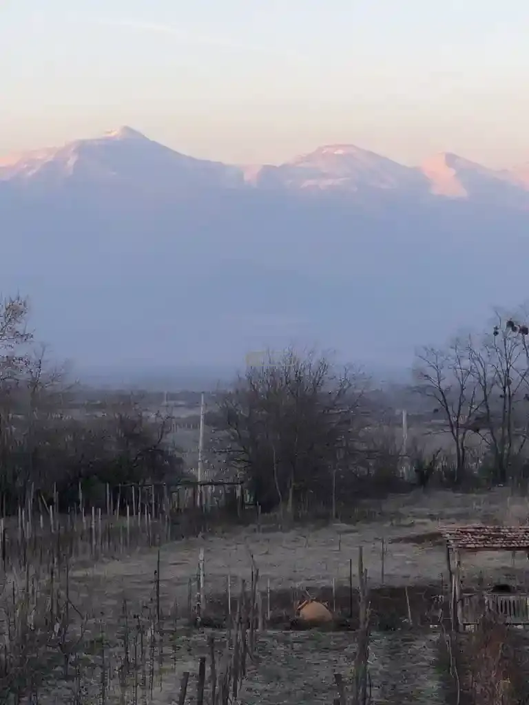 Земельный участок на продажу в Цинандали