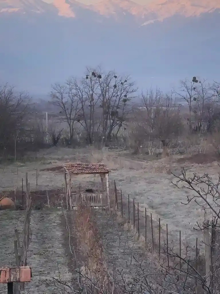 Земельный участок на продажу в Цинандали