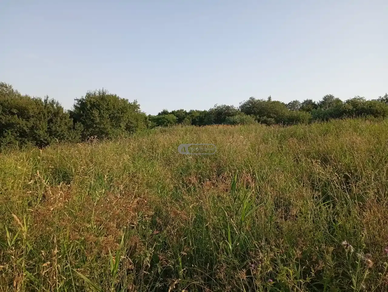 Инвестиционный земельный участок в селе Кобадзе