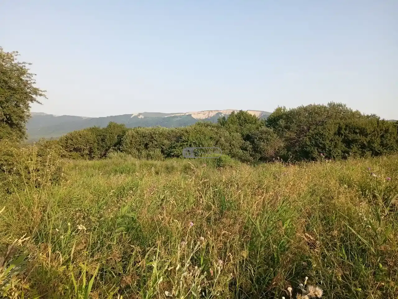 Инвестиционный земельный участок в селе Кобадзе