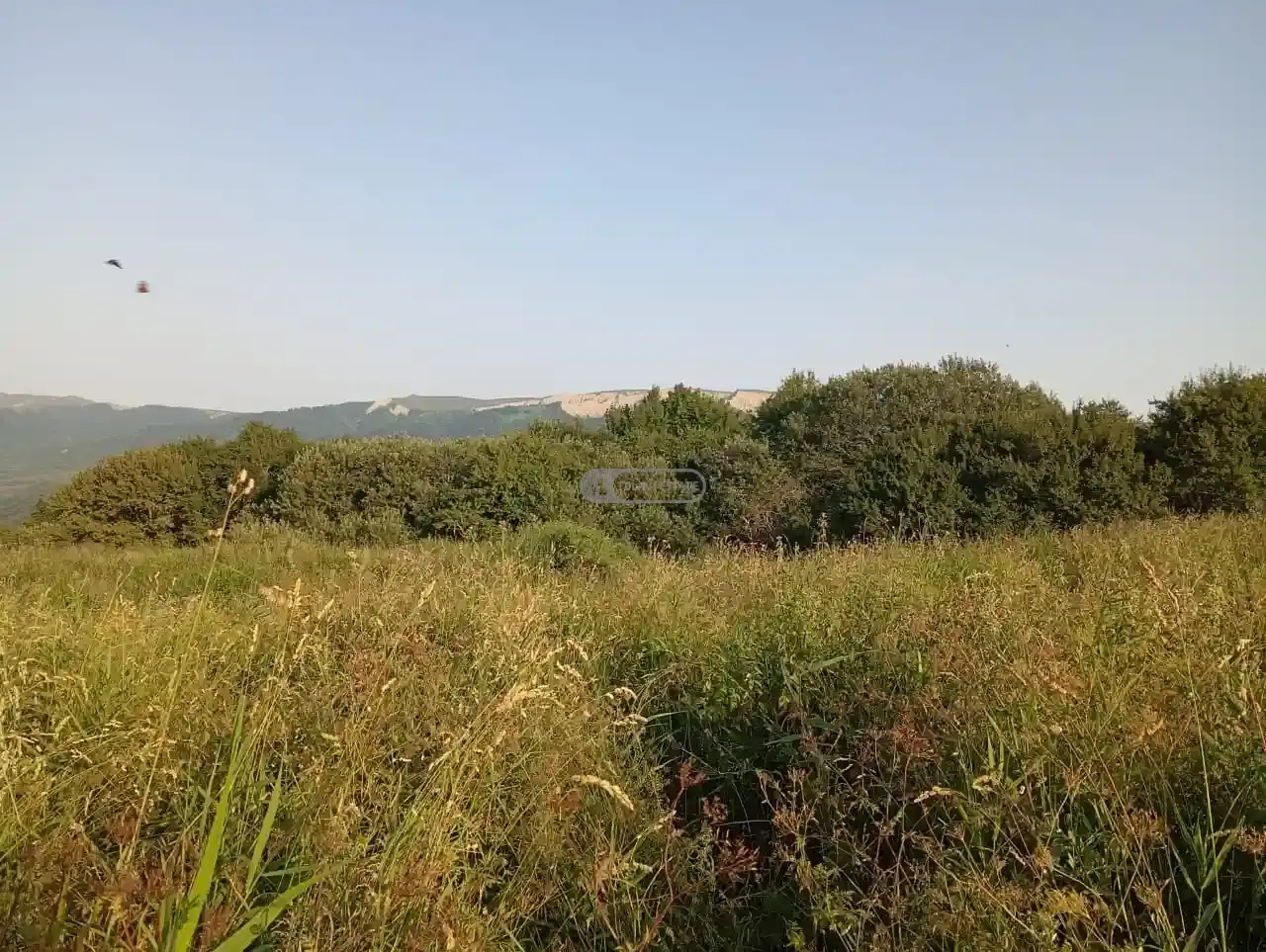 Инвестиционный земельный участок в селе Кобадзе