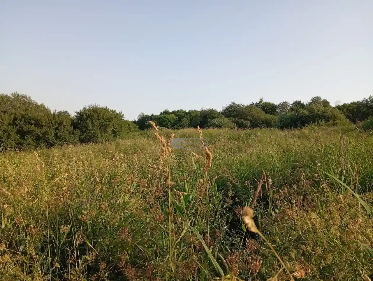 Инвестиционный земельный участок в селе Кобадзе