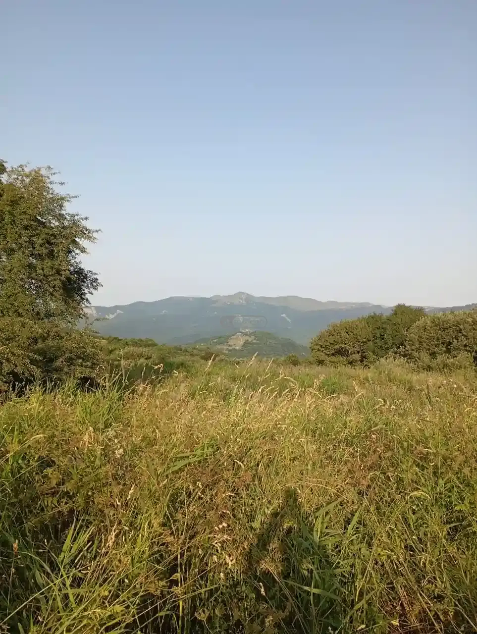 Инвестиционный земельный участок в селе Кобадзе