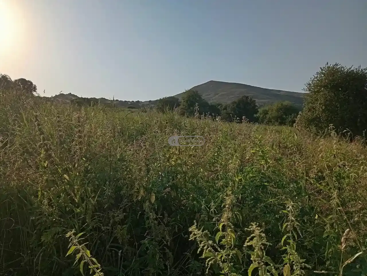 Инвестиционный земельный участок в селе Кобадзе