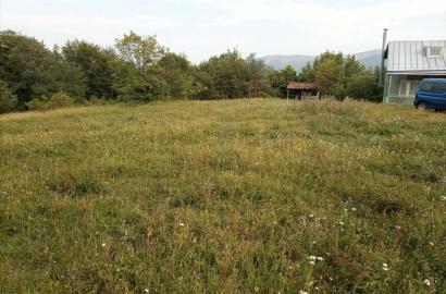 მიწის ნაკვეთი სოფელ თეთრიწყლებში