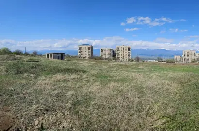 მიწის ნაკვეთი თელავში