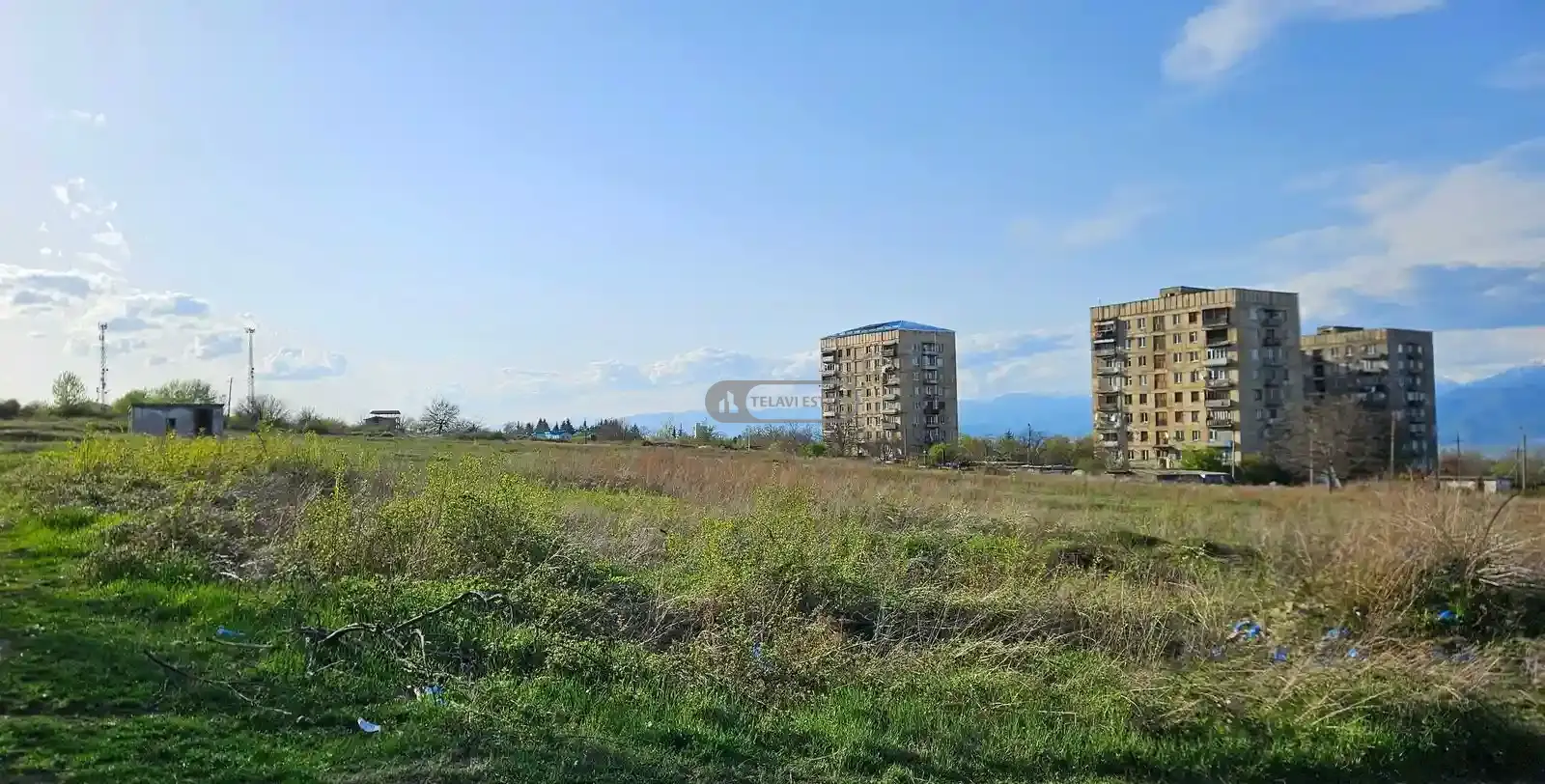 მიწის ნაკვეთი თელავში