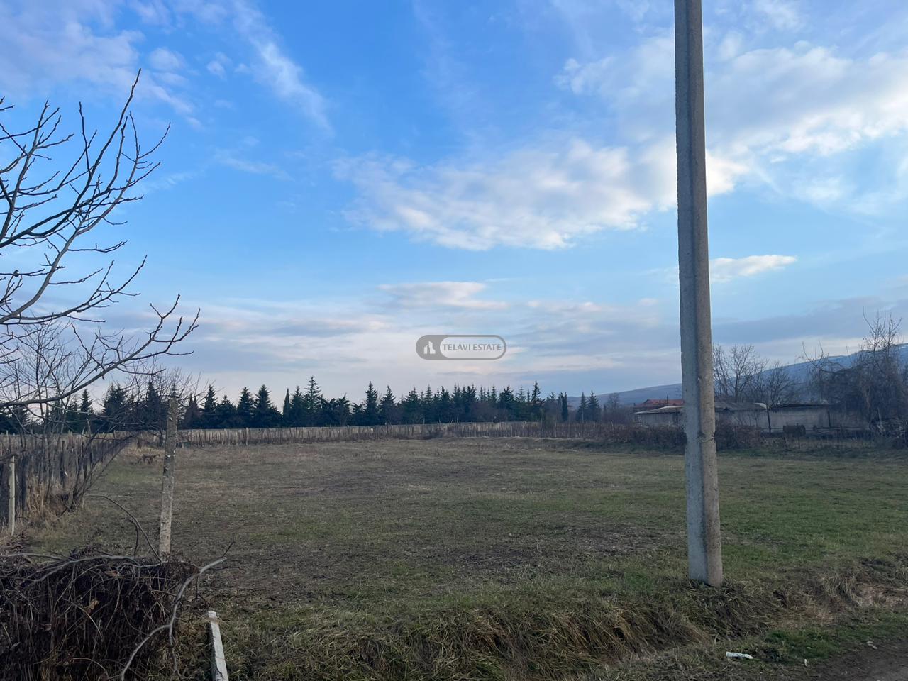 მიწის ნაკვეთი იყალთოში