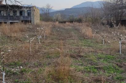 მიწის ნაკვეთი ხეხილით ჩაბინაანში