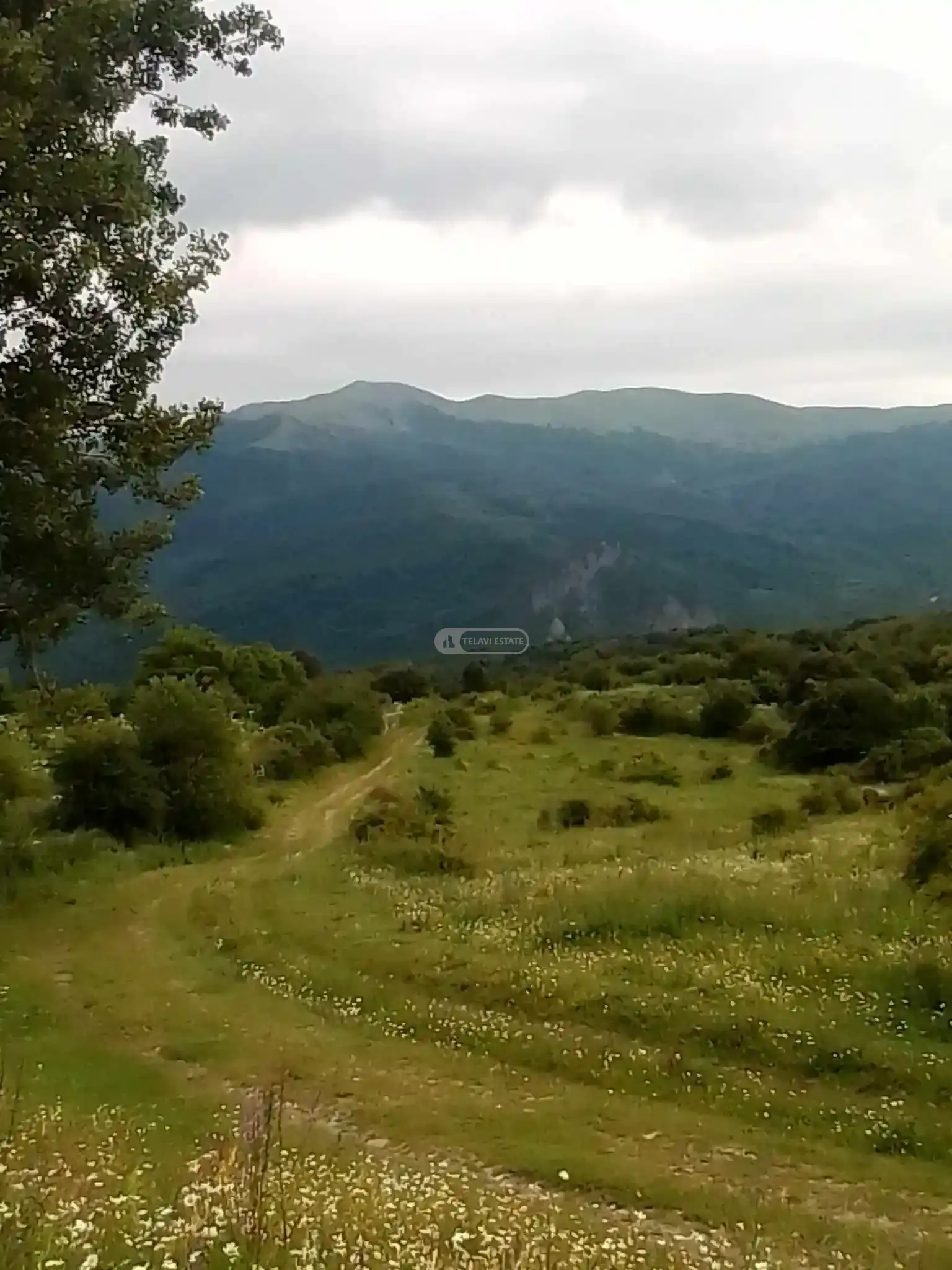 Жилой земельный участок в Тетрицхлебах