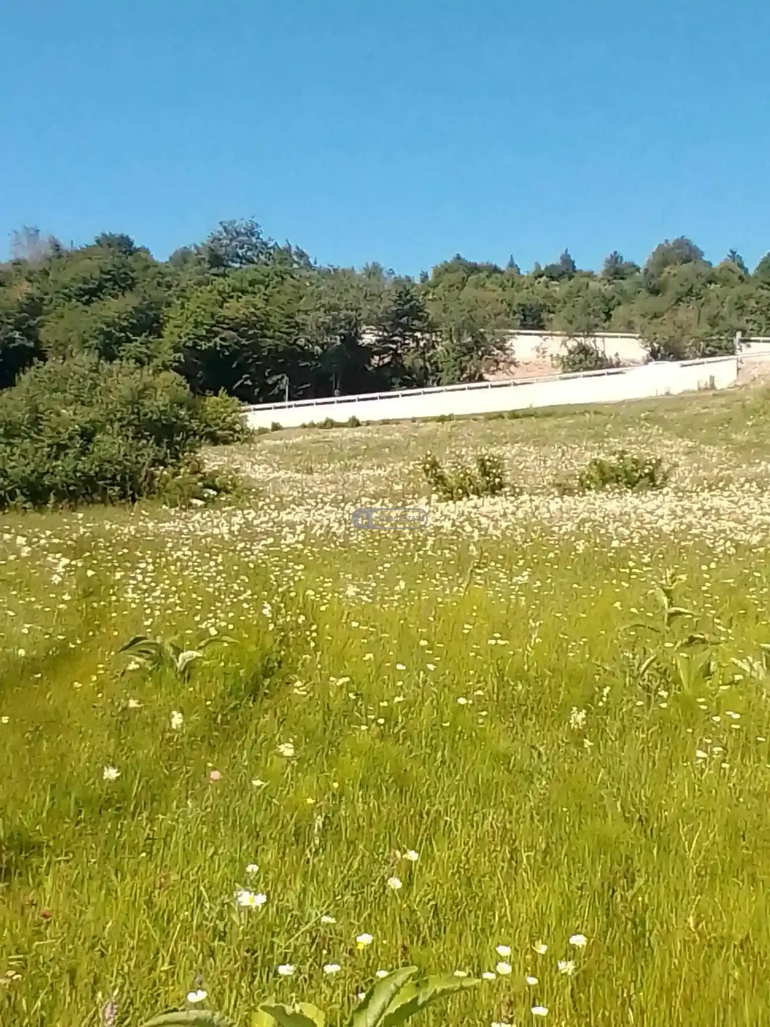 Жилой земельный участок в Тетрицхлебах