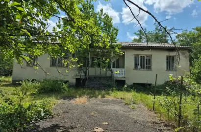 კომერციული დანიშნულების მიწა