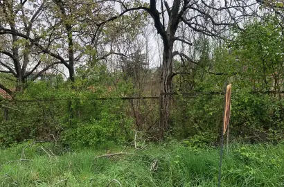 მიწის ნაკვეთი ქალაქ თელავში