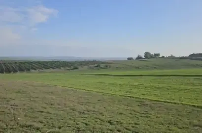 მიწის ნაკვეთი გურჯაანში (ჯიმითი)