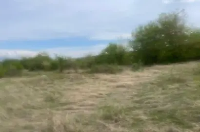 მიწის ნაკვეთი შალაურში