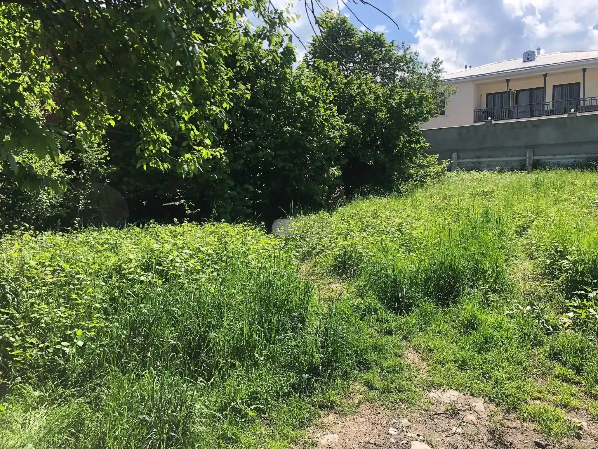 სამოსახლო მიწის ნაკვეთი თელავში