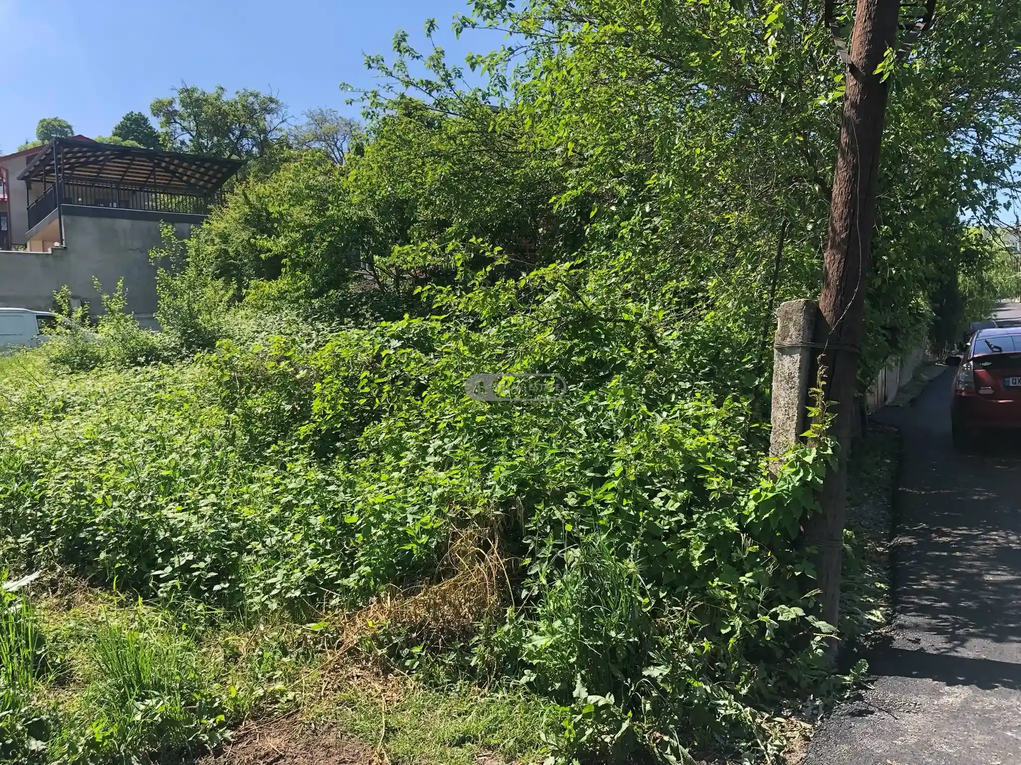 სამოსახლო მიწის ნაკვეთი თელავში