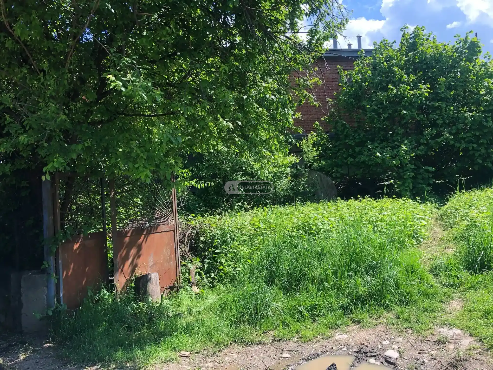 სამოსახლო მიწის ნაკვეთი თელავში