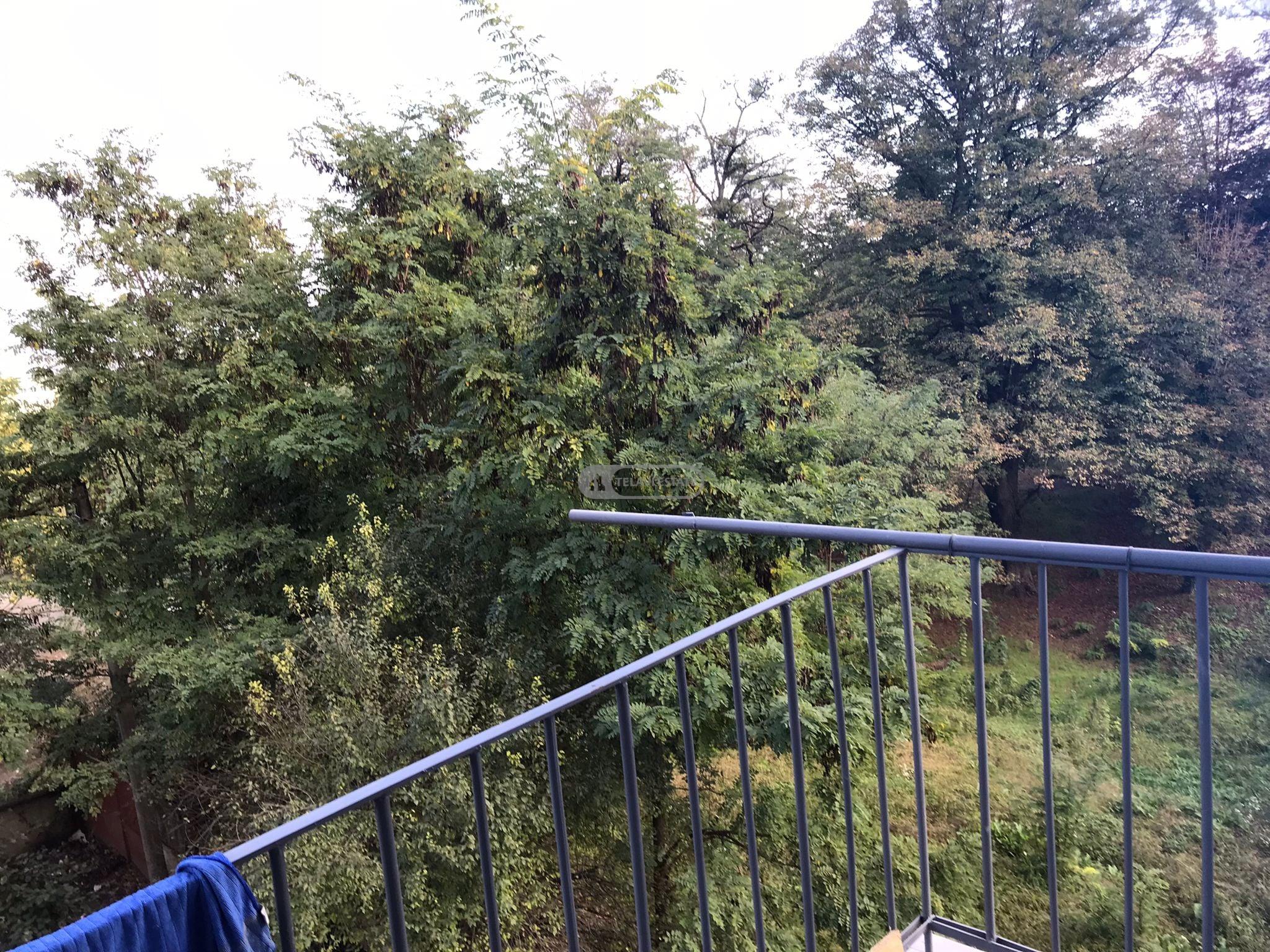 ქირავდება ოთახნახევრიანი ბინა თელავში