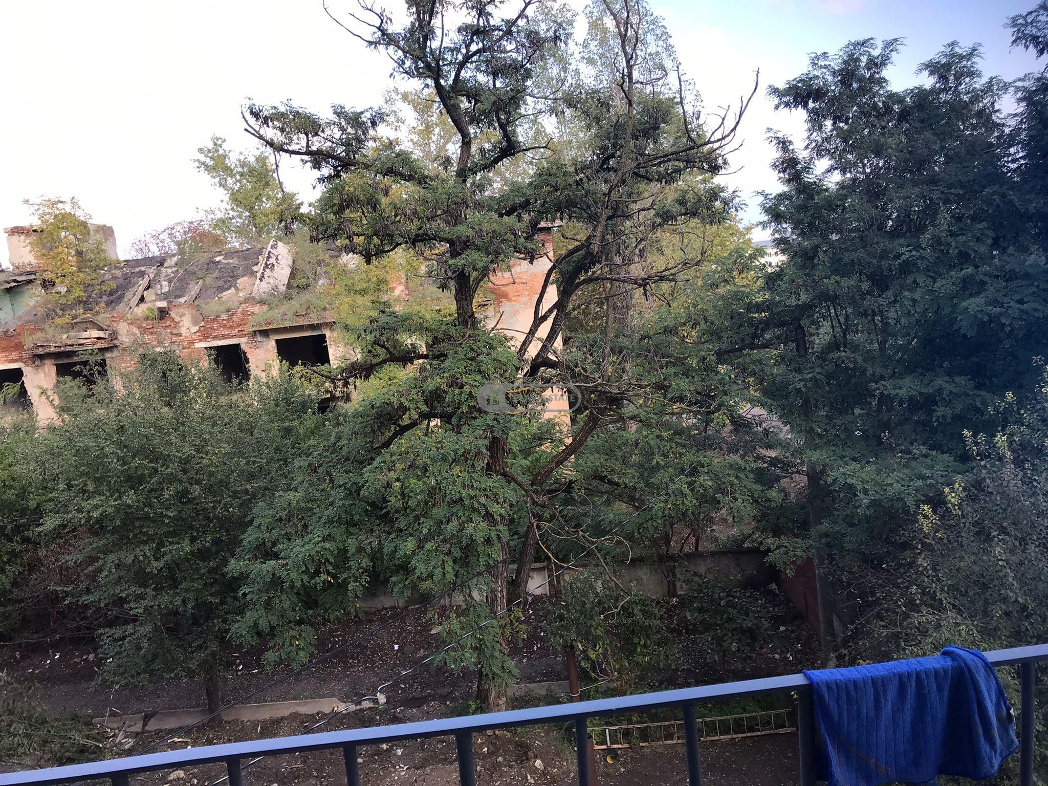 ქირავდება ოთახნახევრიანი ბინა თელავში