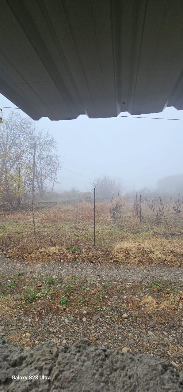 სამოსახლო მიწის ნაკვეთი წინანდალში