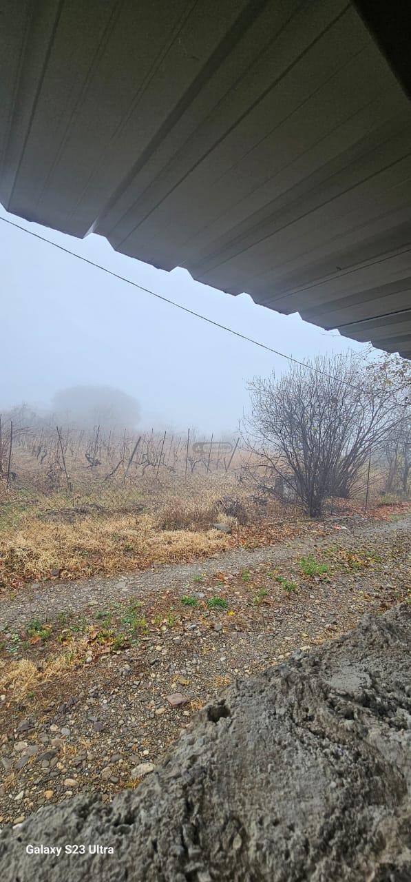 სამოსახლო მიწის ნაკვეთი წინანდალში