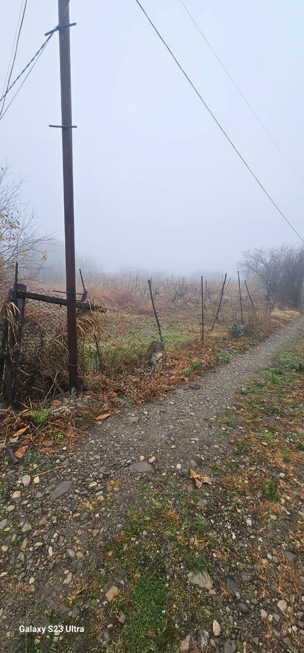 სამოსახლო მიწის ნაკვეთი წინანდალში