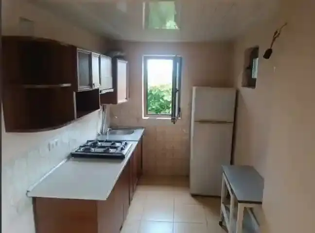 Raised-Ground-Floor House Near the Center of Telavi