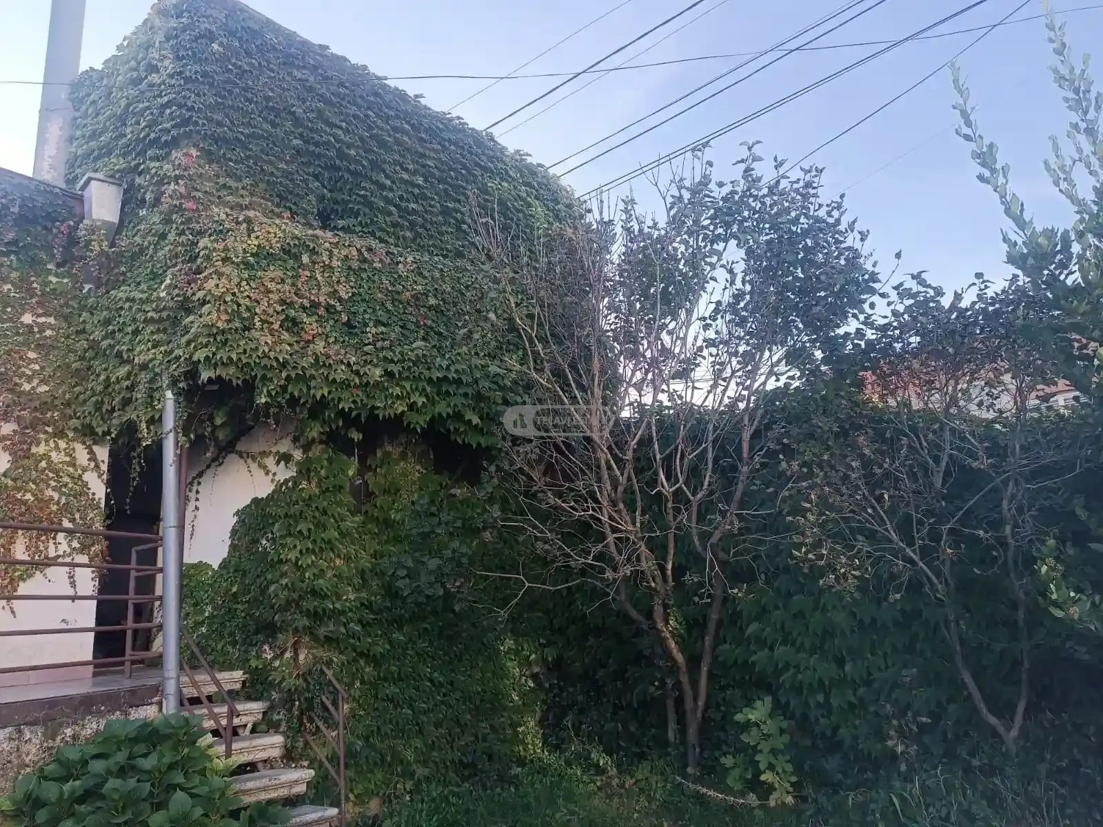 Raised-Ground-Floor House Near the Center of Telavi