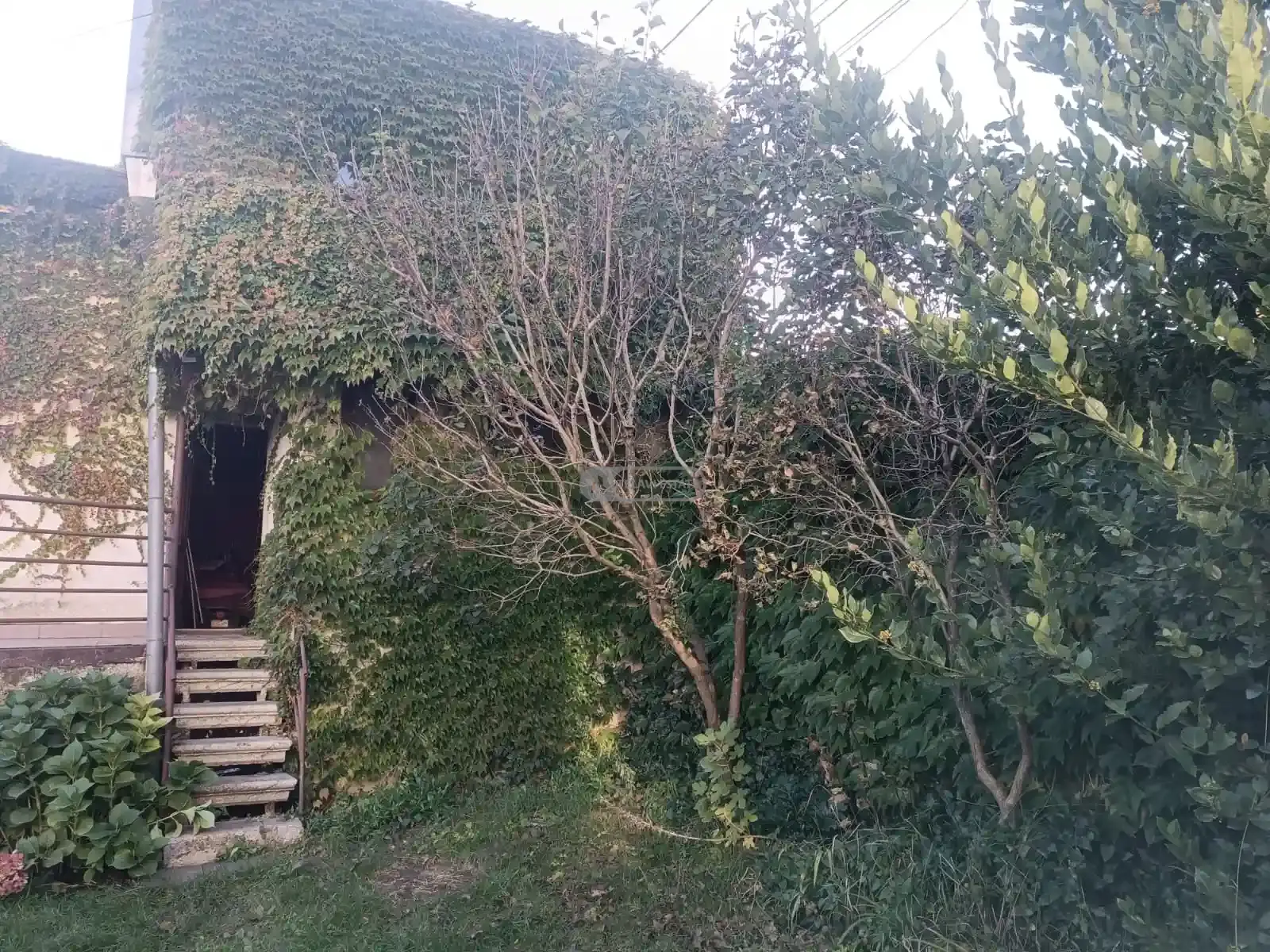 Raised-Ground-Floor House Near the Center of Telavi