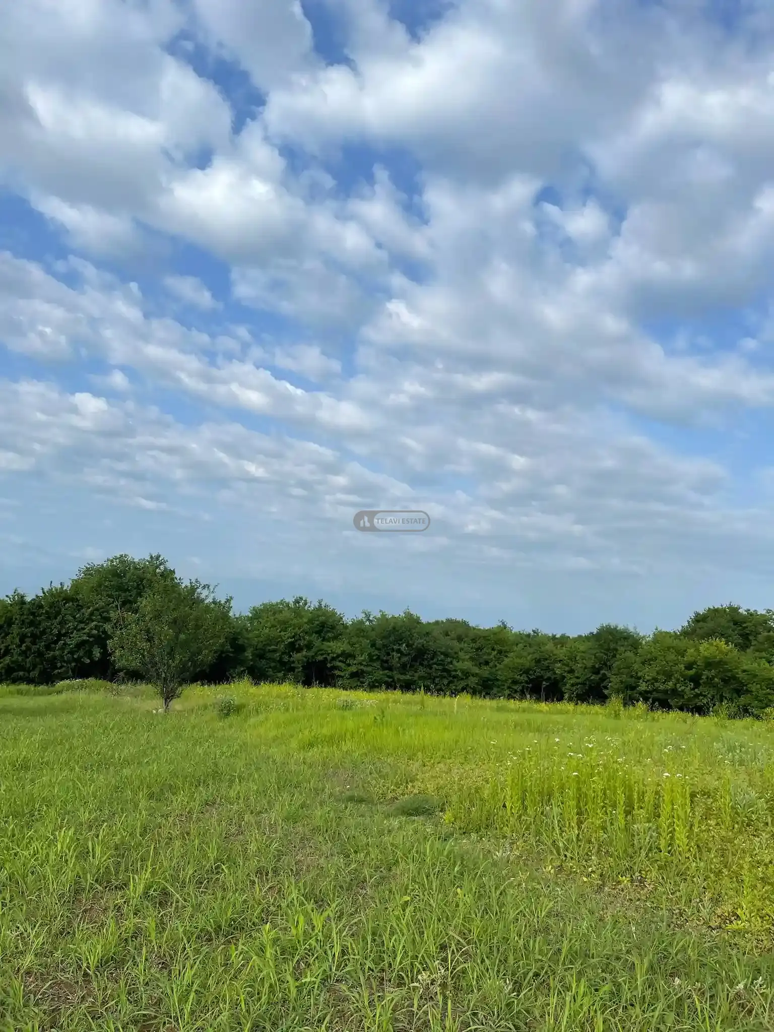 მიწის ნაკვეთი წინანდალში