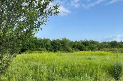 მიწის ნაკვეთი წინანდალში