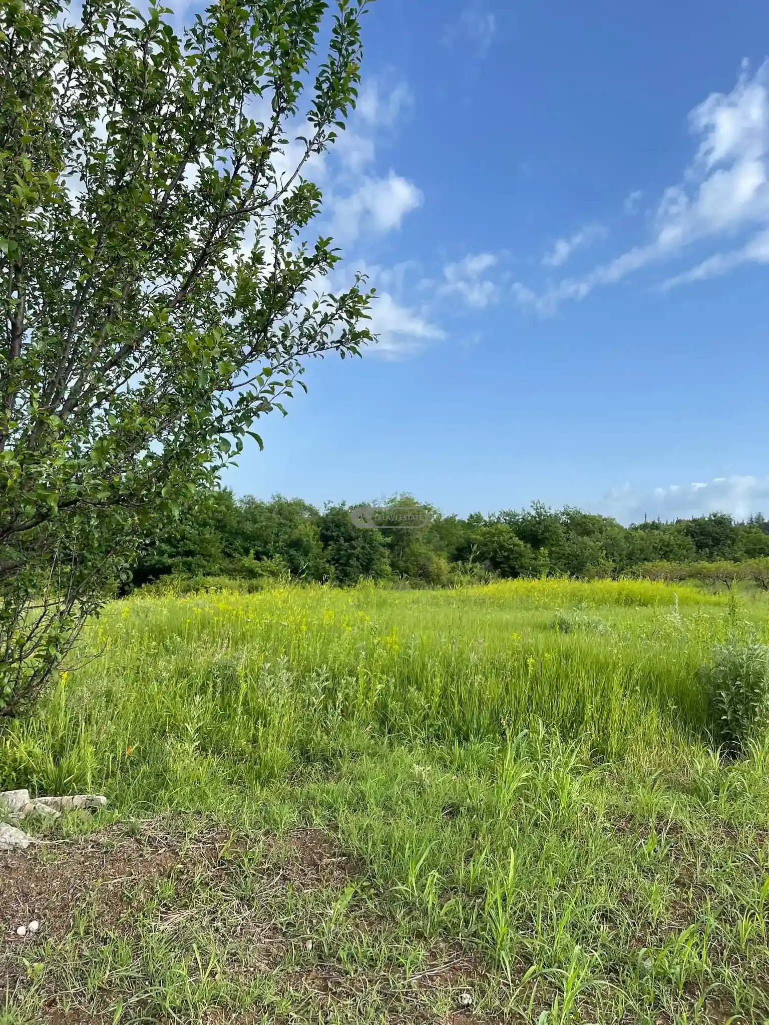 მიწის ნაკვეთი წინანდალში