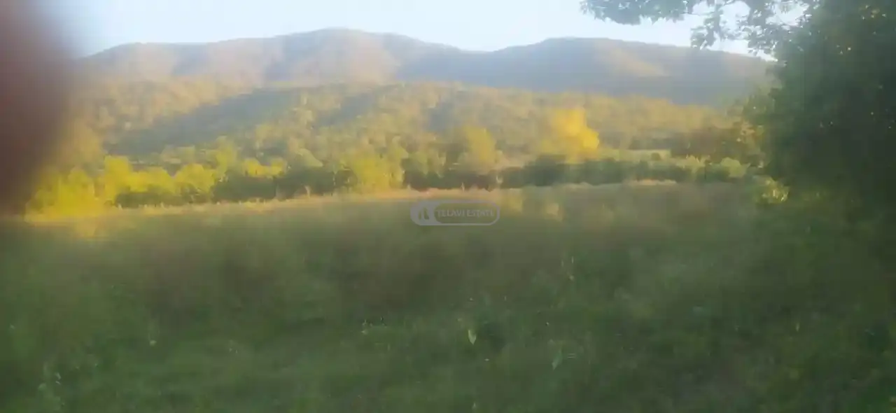 Land for Sale in Artana