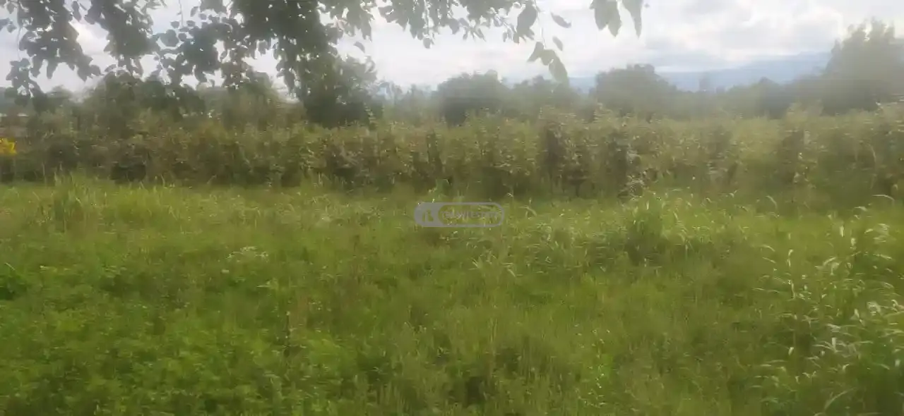 Land for Sale in Artana