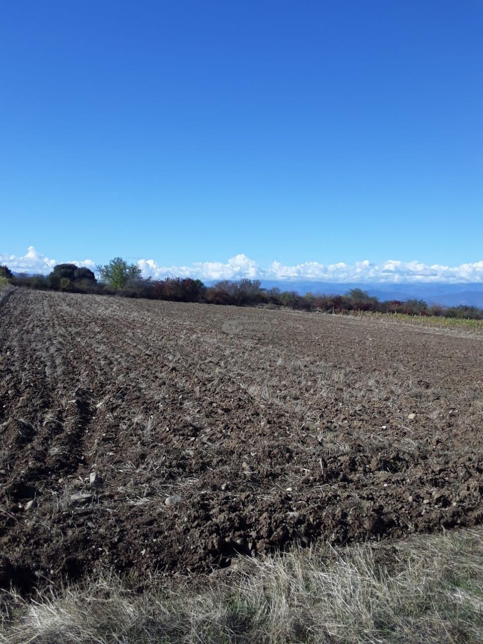 Land for Sale in Vardisubani