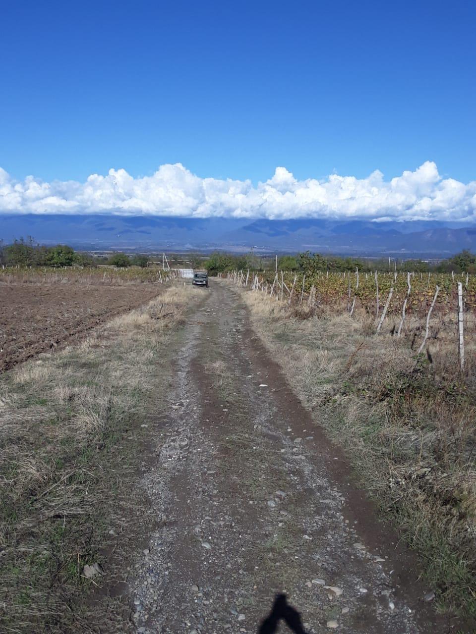 Land for Sale in Vardisubani