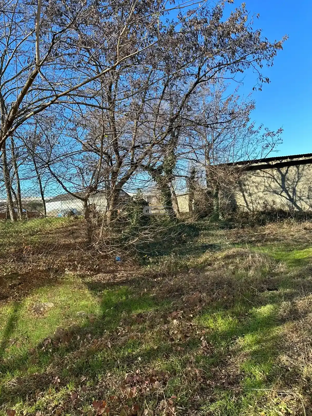 მიწის ნაკვეთი თელავში