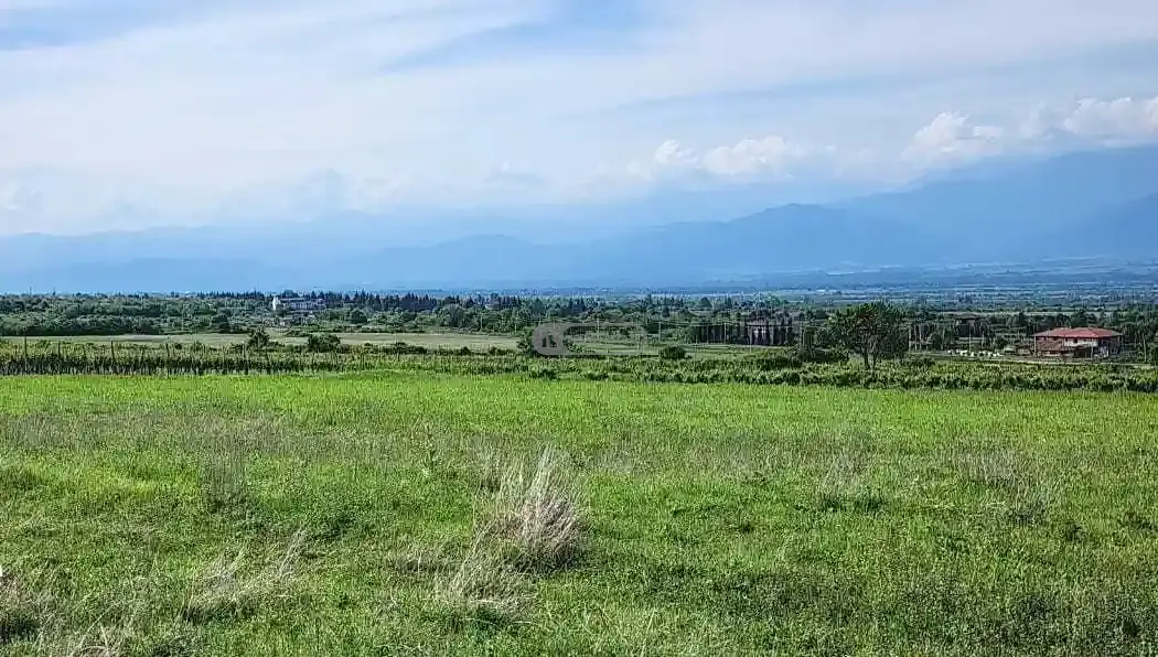 მიწის ნაკვეთი კისისხევში