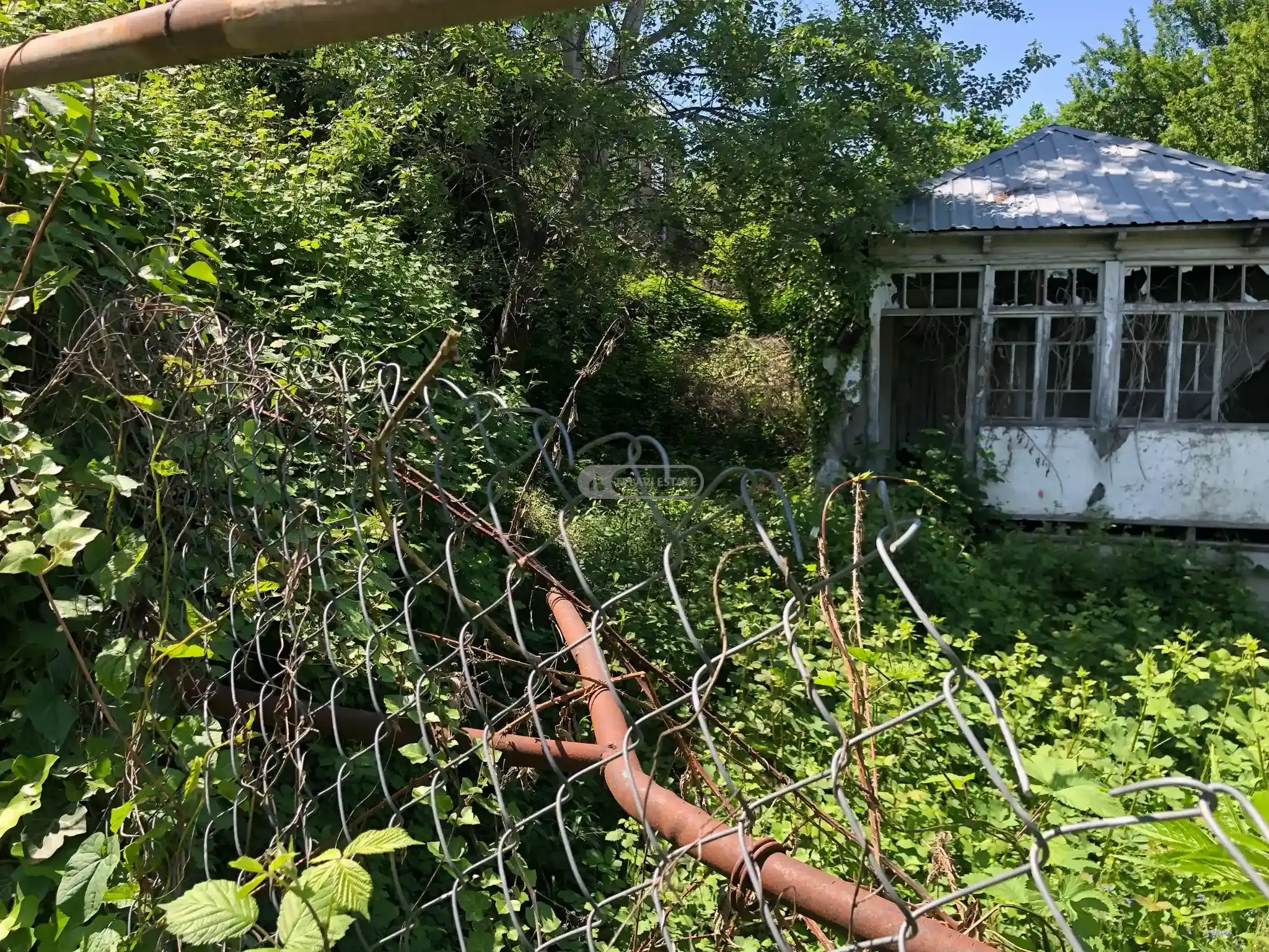 მიწის ნაკვეთი თელავში